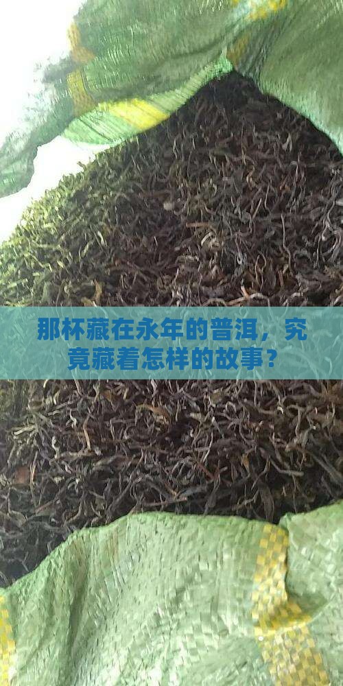 永年普洱人家生茶