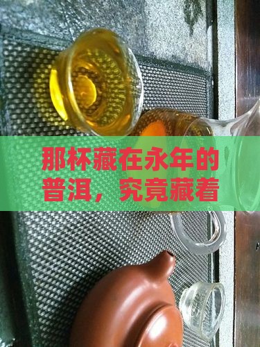 永年普洱人家生茶