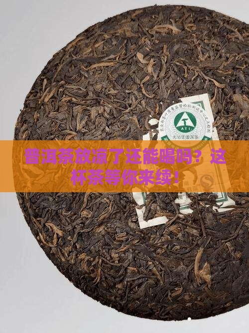 普洱茶冲泡凉了还能喝吗