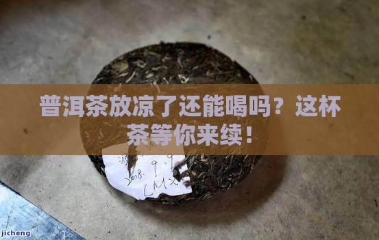 普洱茶冲泡凉了还能喝吗