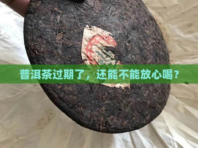 普洱茶过期能喝不