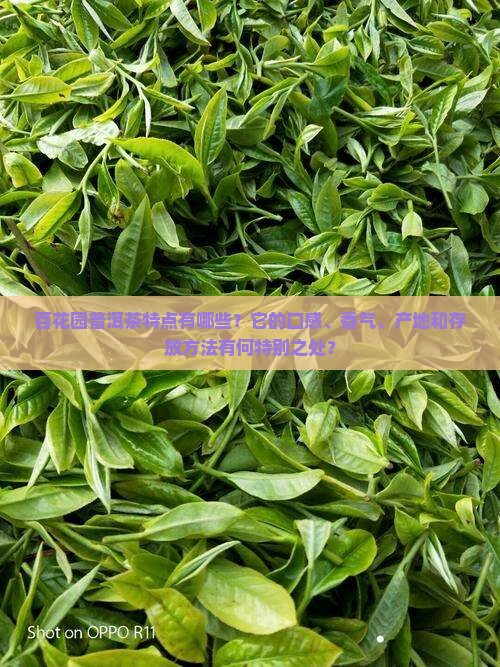 百花园普洱茶特点