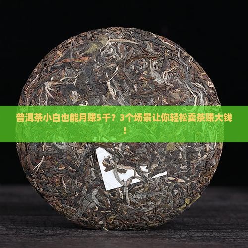 怎么卖普洱茶赚钱