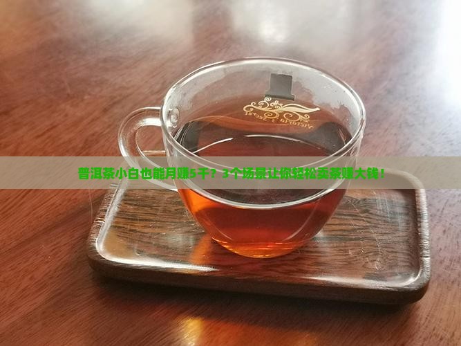 怎么卖普洱茶赚钱