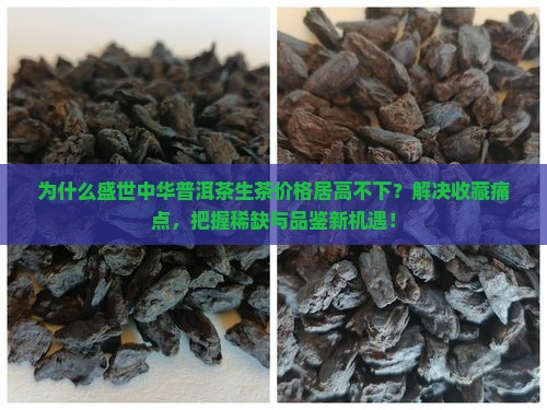 盛世中华普洱茶生茶价钱