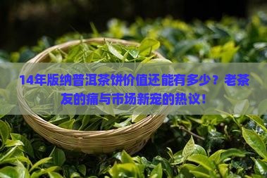 14年版纳普洱茶饼价值