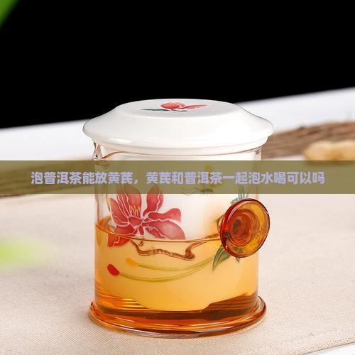 泡普洱茶能放黄芪