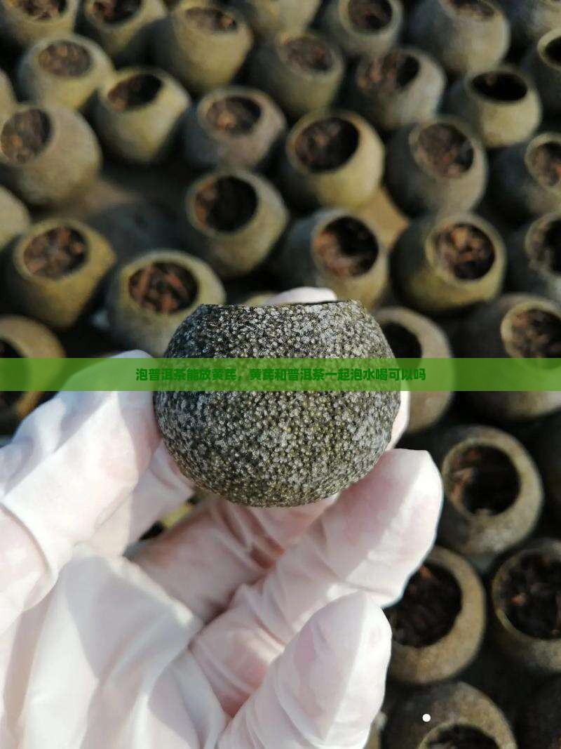 泡普洱茶能放黄芪