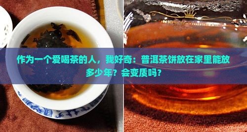 普洱茶饼怎么保存可以放多久