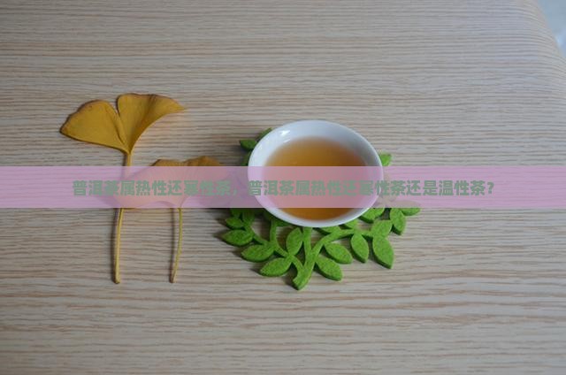 普洱茶属热性还寒性茶