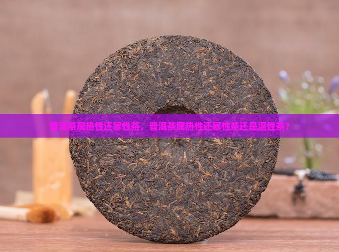 普洱茶属热性还寒性茶