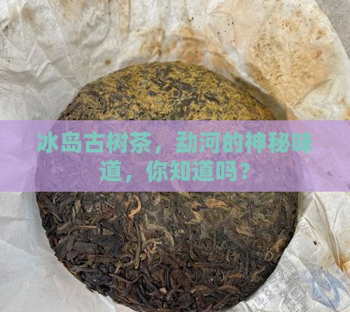 勐河冰岛普洱茶古树茶