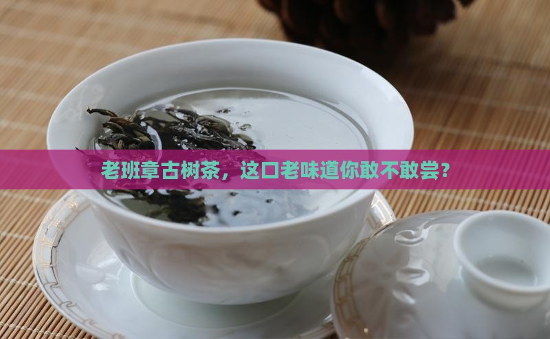 老班章最老古树茶