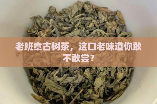 老班章最老古树茶