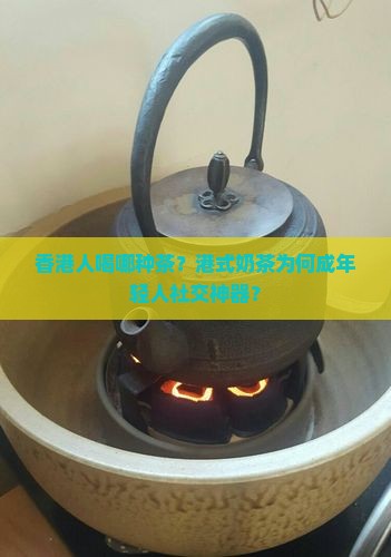 香港人喝哪种茶
