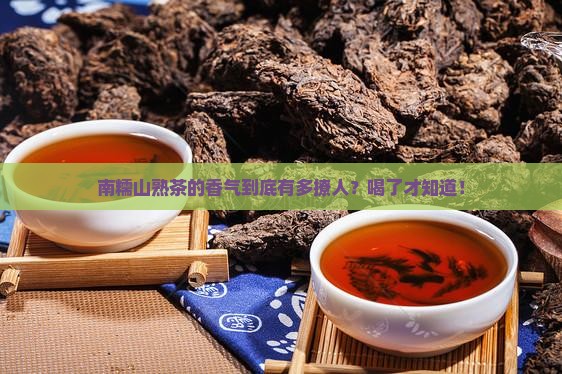 南糯山熟茶的香气特点