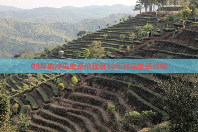 08年的冰岛生茶价钱