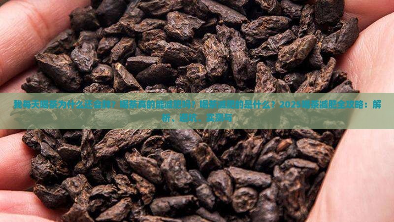 我每天喝茶为什么还会胖