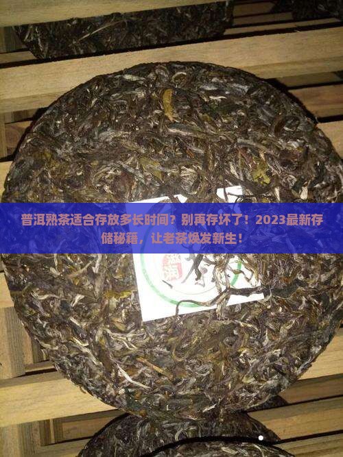普洱熟茶适合存放多长时间