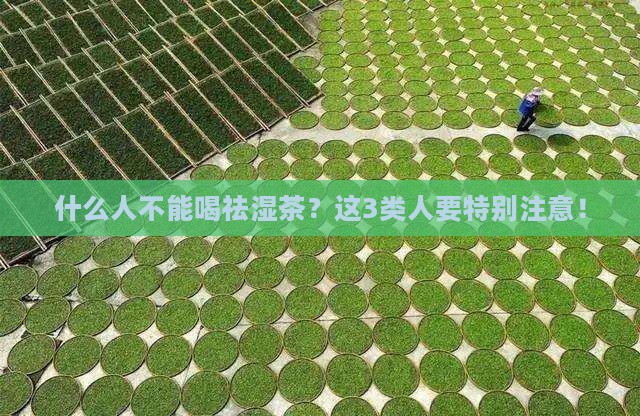 什么人不能喝祛湿茶