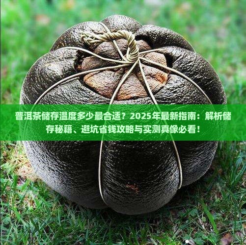 普洱茶储存的温度多少