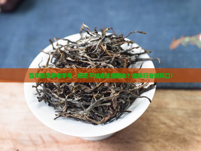 百年普洱茶老字号