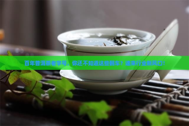 百年普洱茶老字号