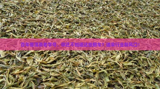 百年普洱茶老字号