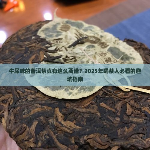 牛尿一样的普洱茶是真的吗