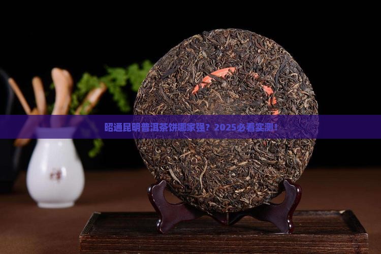昭通昆明普洱茶饼品牌