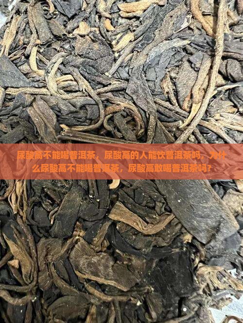尿酸高不能喝普洱茶