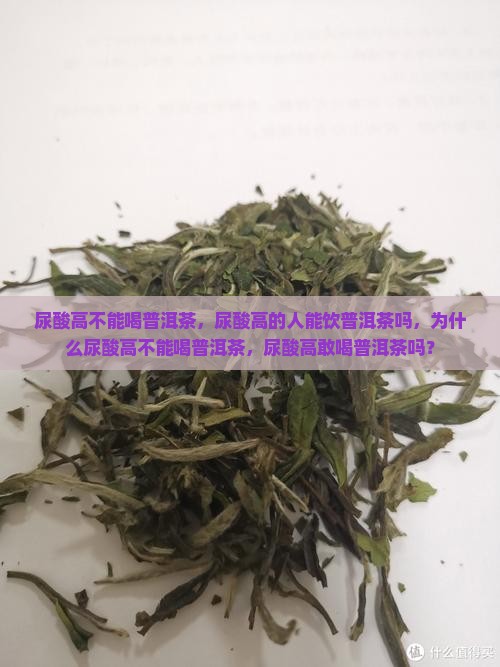 尿酸高不能喝普洱茶