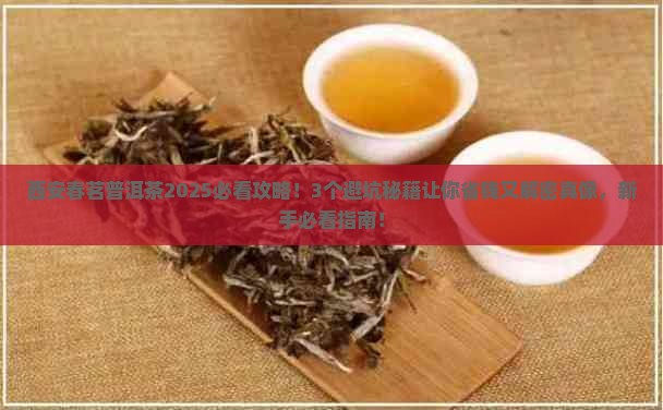 西安春茗普洱茶