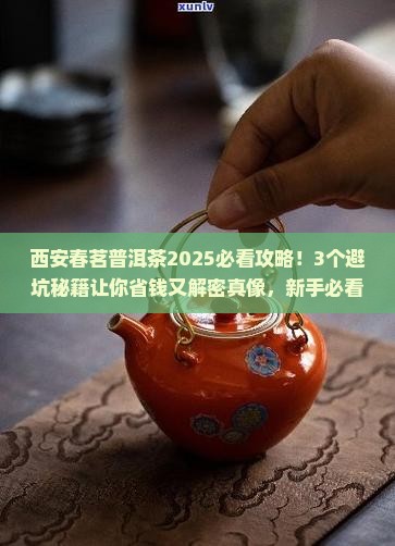 西安春茗普洱茶
