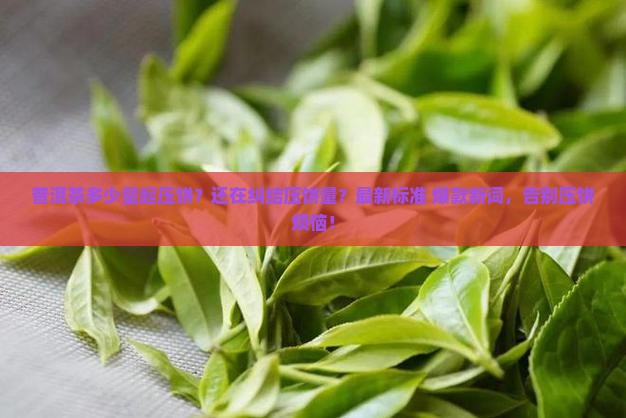 普洱茶多少量起压饼
