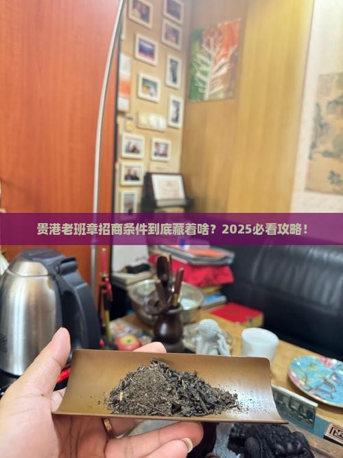 贵港老班章招商条件