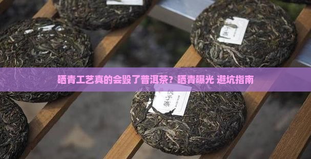 晒青对普洱茶的危害性大吗