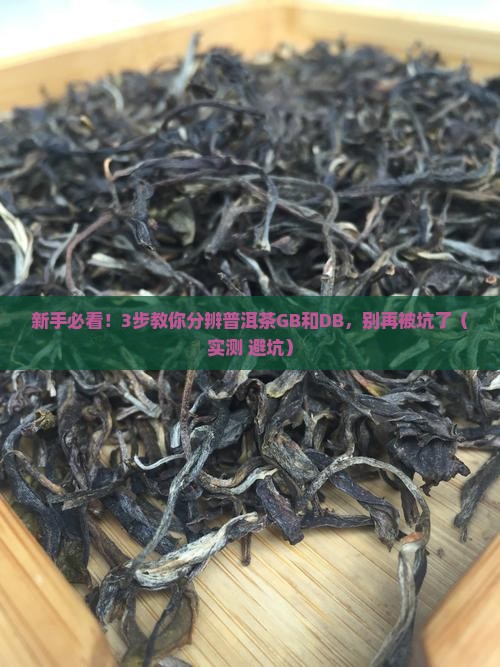 普洱茶gb和db