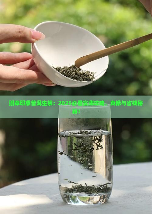 班章印象普洱茶生茶