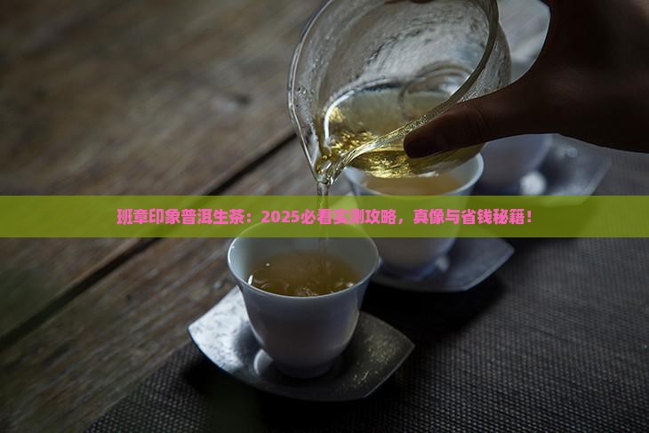 班章印象普洱茶生茶