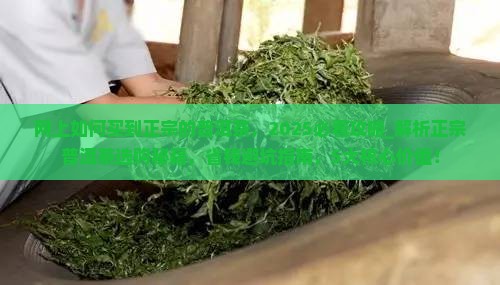 网上如何买到正宗的普洱茶