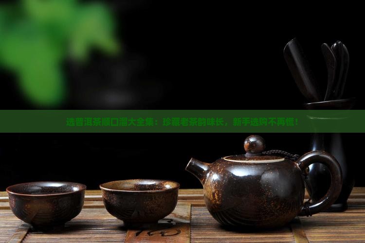 选普洱茶顺口溜大全集