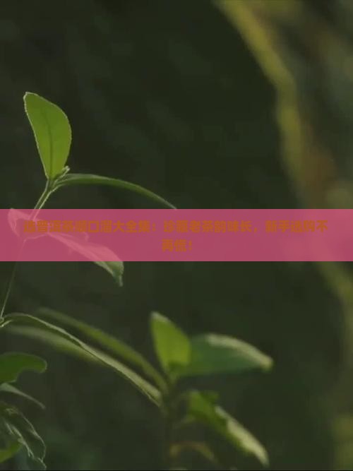 选普洱茶顺口溜大全集