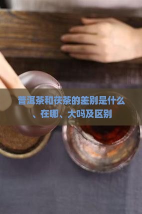 普洱茶和茯茶的差别