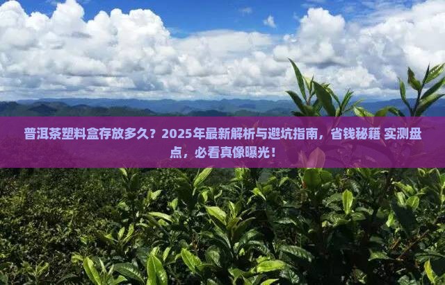 普洱茶塑料盒存放多久
