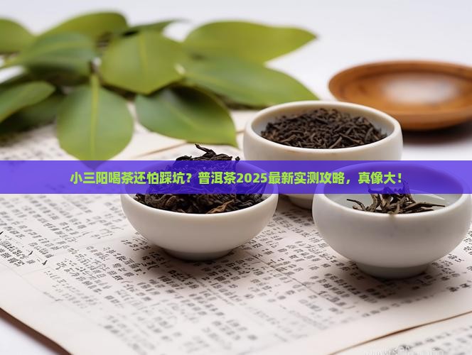 小三阳能不能喝普洱茶