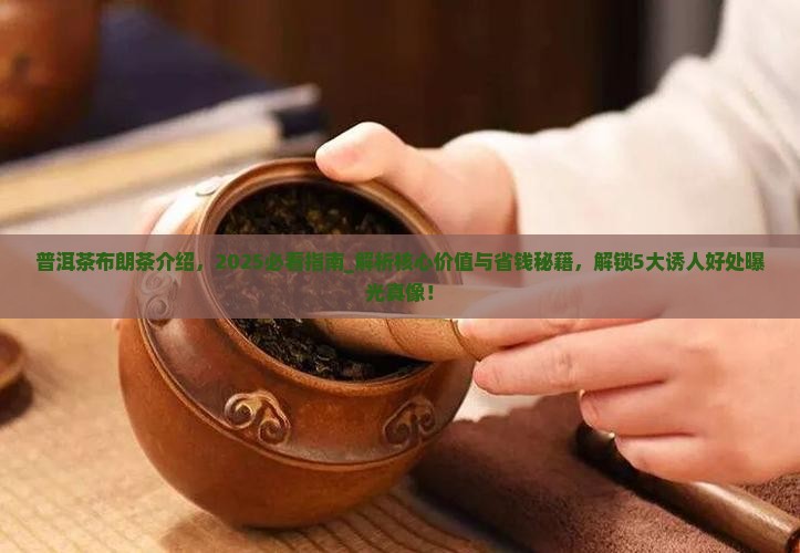 普洱茶布朗茶介绍
