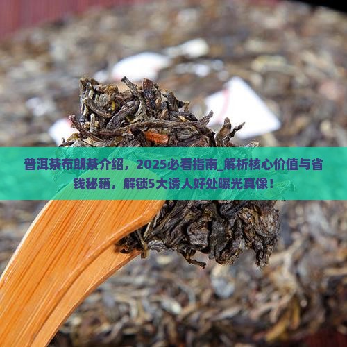 普洱茶布朗茶介绍