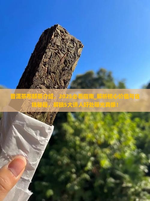普洱茶布朗茶介绍
