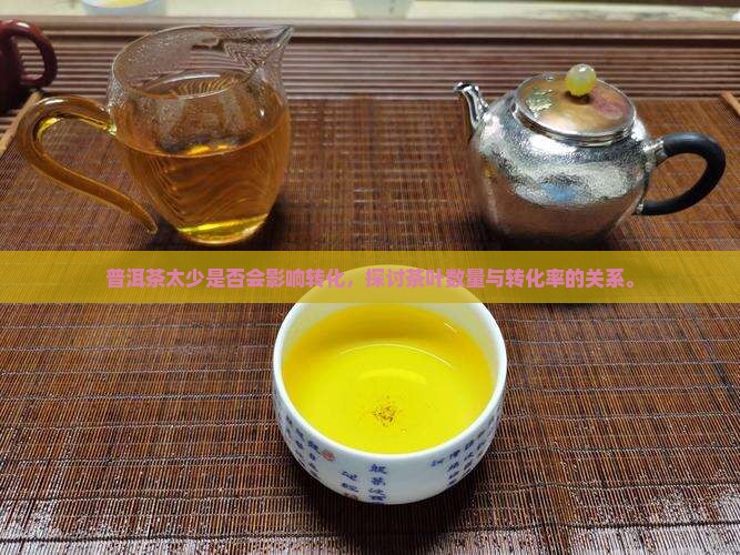 普洱茶太少是否会影响转化